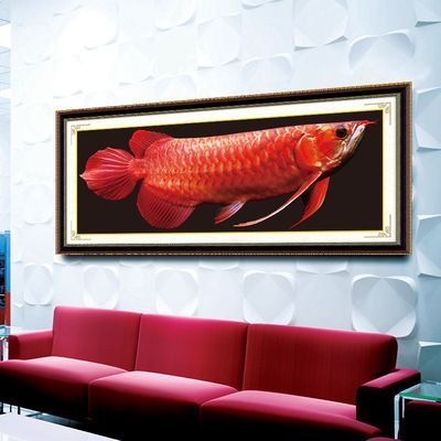 金龍魚批發市場進貨渠道在哪：全國金魚批發市場一覽