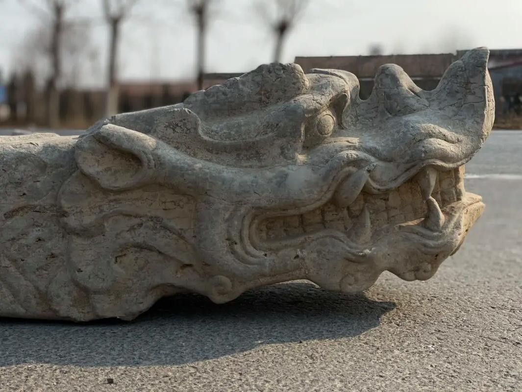 龍頭雕刻圖片收費嗎？ 龍頭雕刻圖片收費嗎？ 龍魚百科 第12張