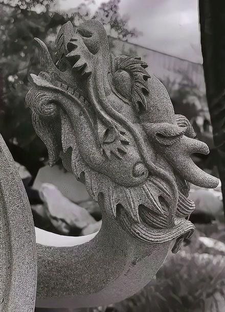 龍頭雕刻圖片收費嗎？ 龍頭雕刻圖片收費嗎？ 龍魚百科 第26張