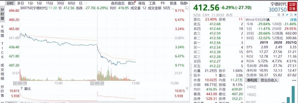 金龍魚屬于消費板塊嗎：金龍魚在資本市場表現和特點具有一定的特點具有一定的特點