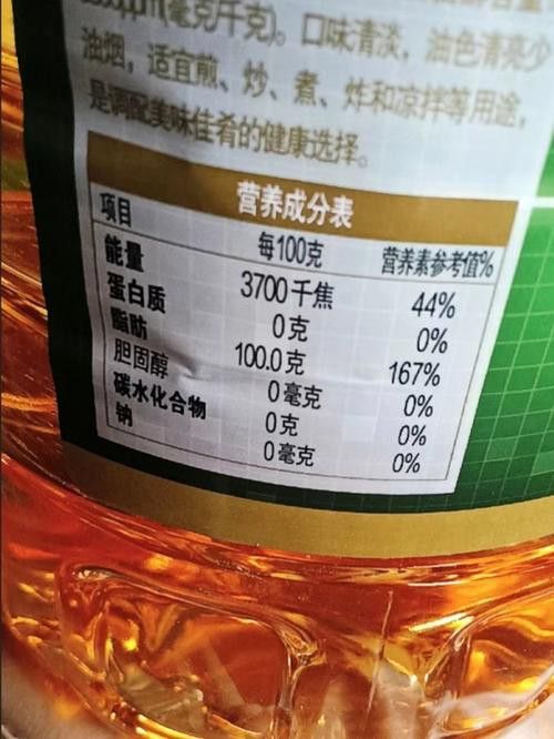 金龍魚可以吃的嗎