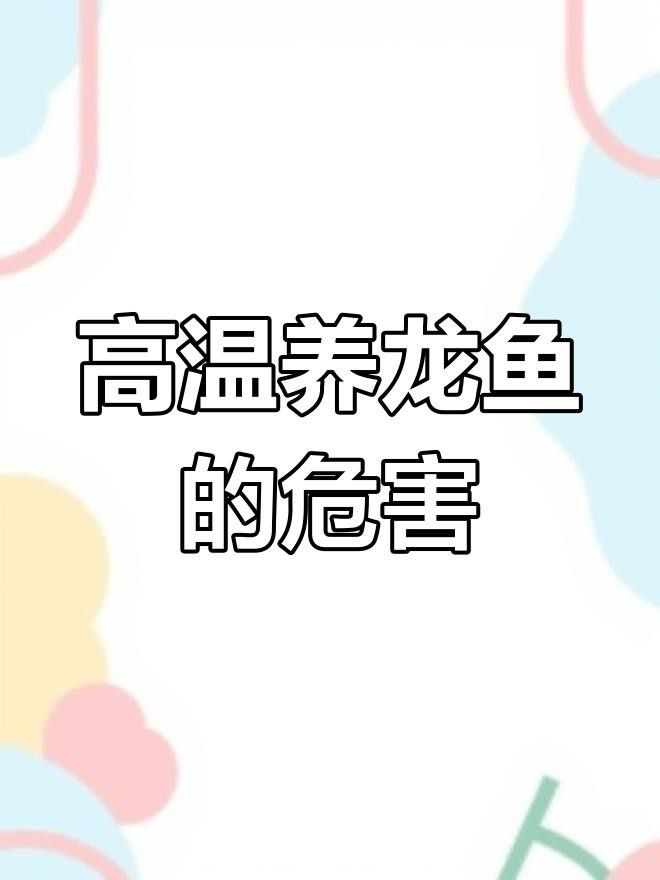 龍魚飼養溫度波動會有什么影響？ 龍魚飼養溫度波動會有什么影響？ 龍魚百科 第2張
