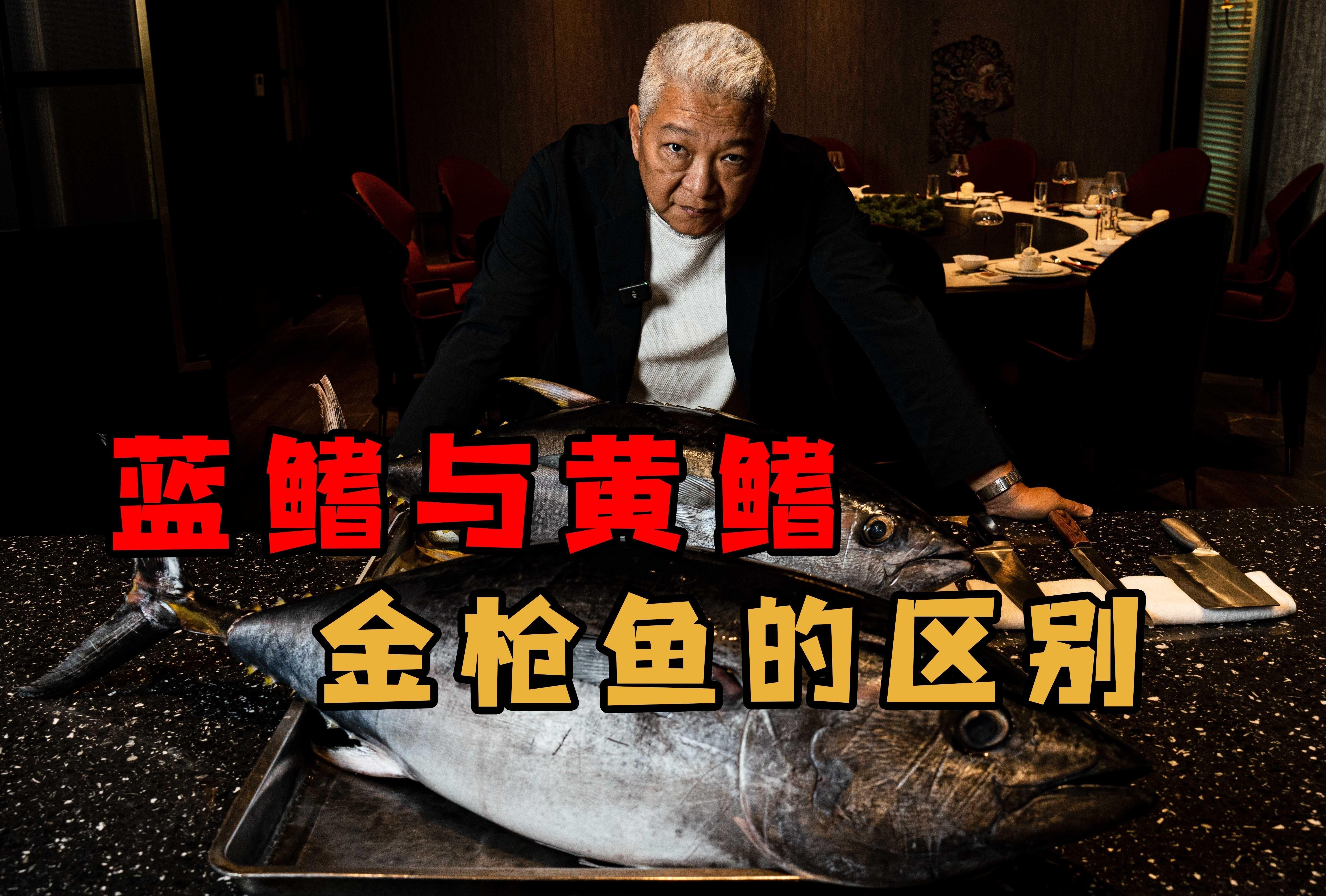 藍鰭和黃鰭金槍魚區(qū)別 藍鰭和黃鰭金槍魚區(qū)別 龍魚百科 第1張