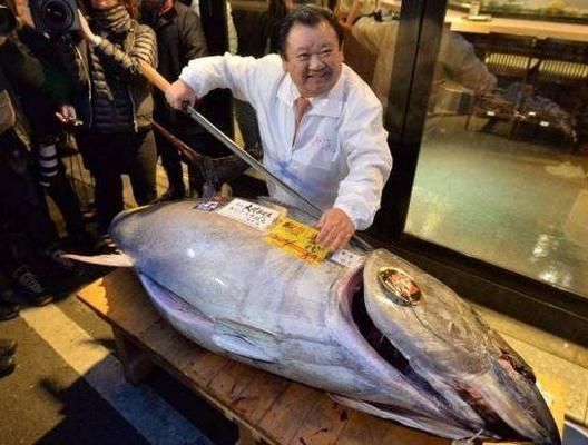 10大名貴食用魚