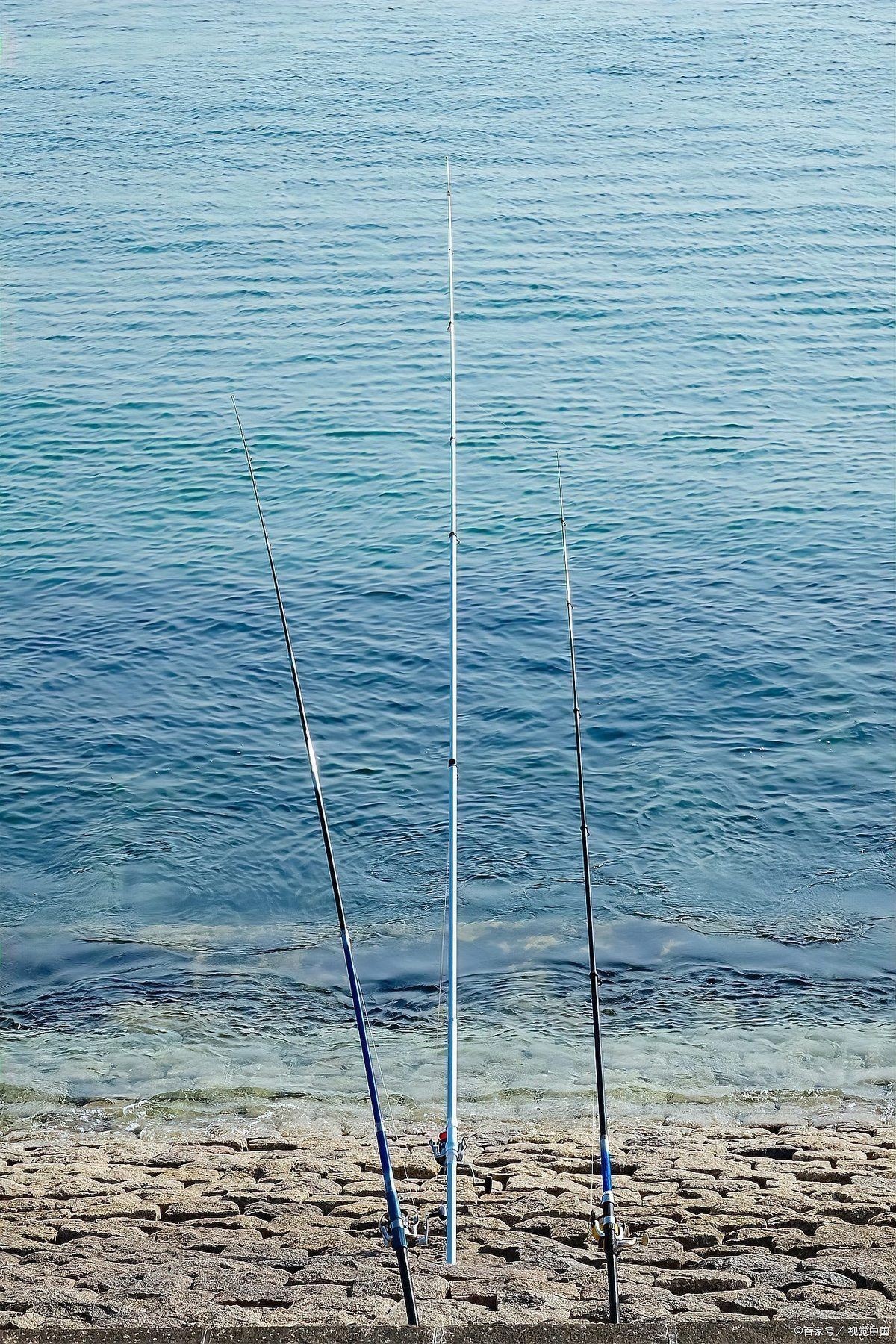 美人魚和光威是一個檔次嗎
