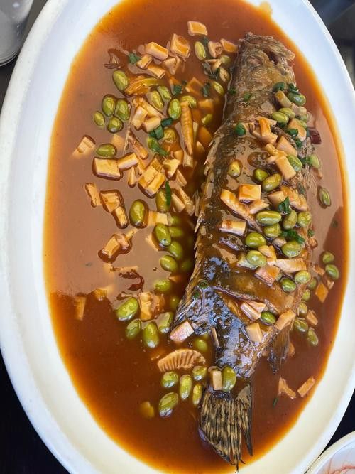 紅燒銀龍魚(yú)做法大全竅門(mén)圖片 紅燒銀龍魚(yú)做法大全竅門(mén)圖片 龍魚(yú)百科 第8張