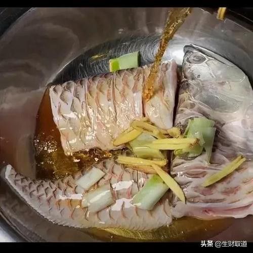 紅燒銀龍魚(yú)做法大全竅門(mén)圖片 紅燒銀龍魚(yú)做法大全竅門(mén)圖片 龍魚(yú)百科 第17張