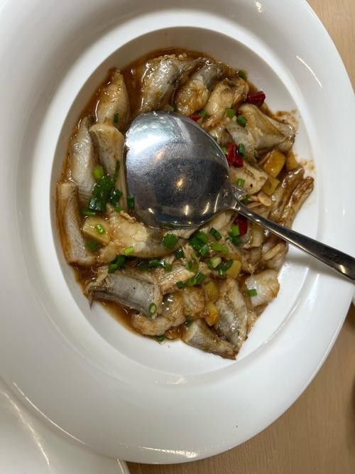 紅燒銀龍魚(yú)做法大全竅門(mén)圖片 紅燒銀龍魚(yú)做法大全竅門(mén)圖片 龍魚(yú)百科 第20張