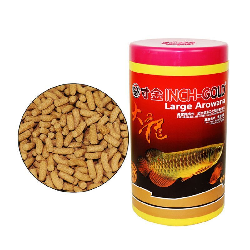 龍魚增色吃什么：龍魚專用飼料品牌推薦