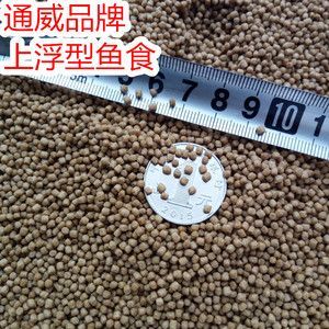 龍魚腸炎大白片怎么用效果好：龍魚腸炎大白片使用方法