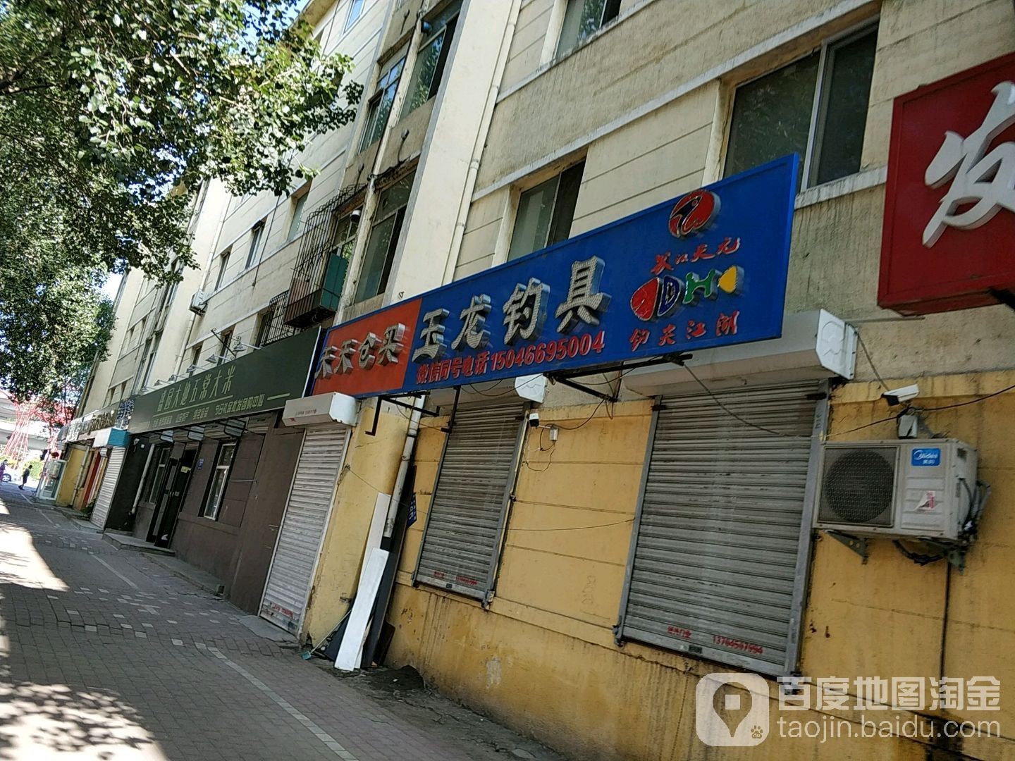哈爾濱賣(mài)龍魚(yú)的地方在哪