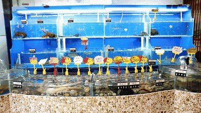 鄭州魚缸批發(fā)市場（鄭州魚缸批發(fā)市場包括中牟魚缸漁具批發(fā)總匯）