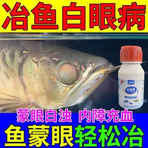 龍魚蒙眼最怕三個東西圖片