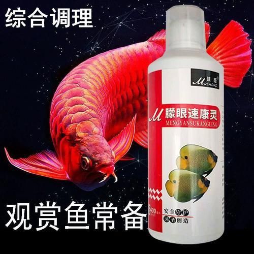 龍魚蒙眼最怕三個東西圖片