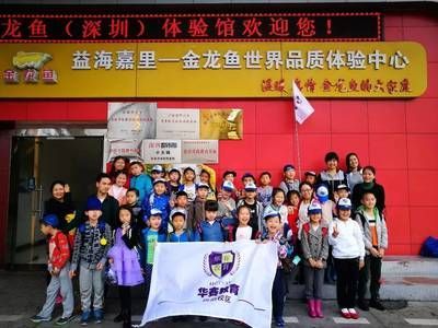 介紹金龍魚的作文怎么寫好：一篇關于金龍魚的作文