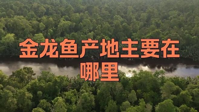 金龍的棲息地分布