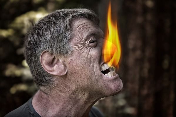 龍魚害怕黑色魚嗎為什么：龍魚對不同顏色的本能反應(yīng)