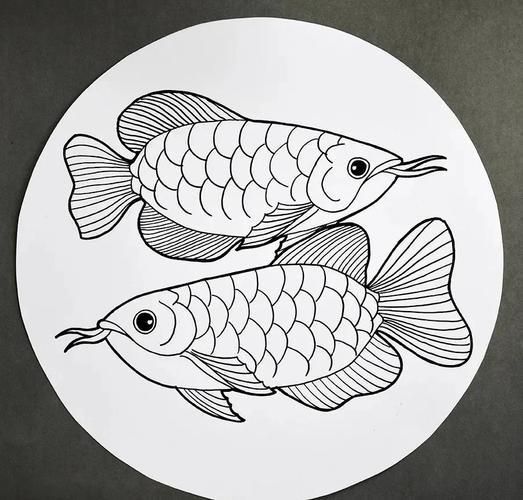 龍魚繪畫圖片