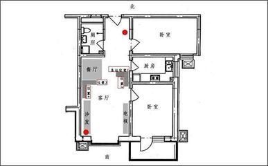 養(yǎng)龍魚用什么燈光最好：龍魚用什么燈光養(yǎng)比較好看？科學選擇與搭配指南