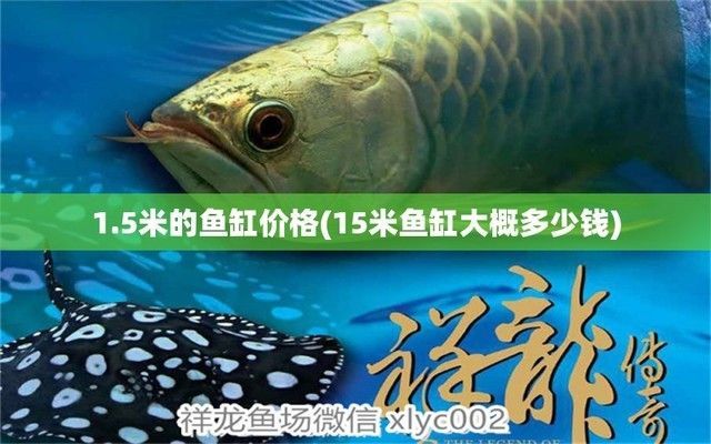 15米魚缸多少錢一個（15米魚缸品牌推薦）