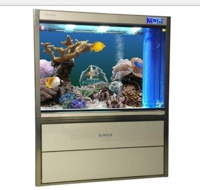 龍魚缸需要什么設備：養龍魚所需的基本設備及其功能