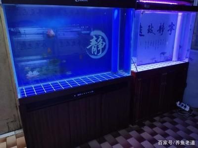 魚缸十大品牌推薦魚缸十大品牌排行榜前十名知乎專欄：高檔魚缸品牌推薦
