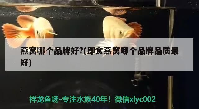 鼓樓區禮德水族店