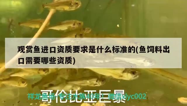 鼓樓區禮德水族店