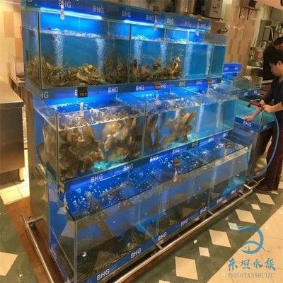 海鮮魚缸設計過濾系統(tǒng)選擇合適的魚缸尺寸是多種因素：養(yǎng)魚新手入門指南