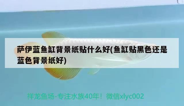 廣州兆鴻貿易店