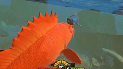 紅龍魚吃螃蟹：紅龍魚不能吃螃蟹嗎？