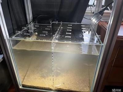 魚缸隔離板圖片：魚缸隔離板安裝教程