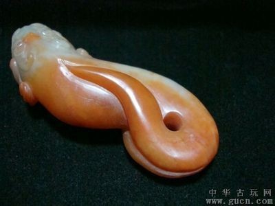 紅色的龍魚配魚（什么魚適合和紅龍魚一起養） 紅色的龍魚配魚（什么魚適合和紅龍魚一起養） 龍魚百科 第7張
