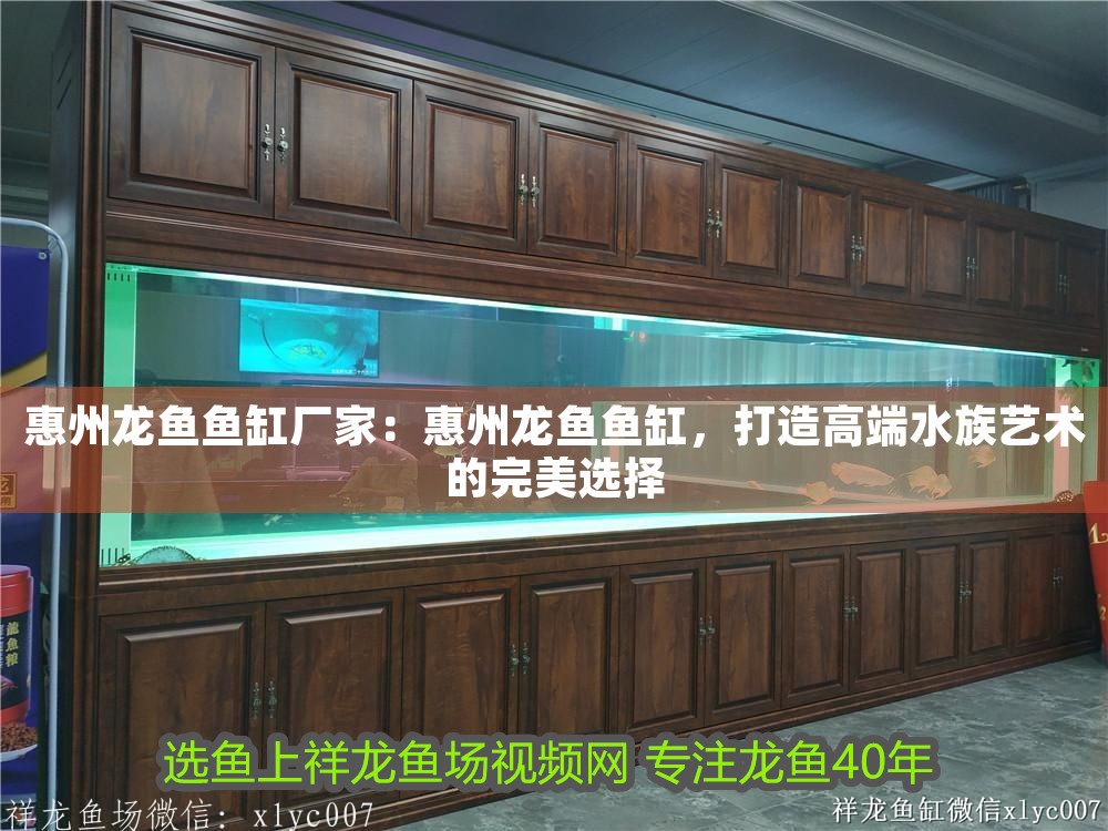 惠州龍魚魚缸廠家：惠州龍魚魚缸，打造高端水族藝術的完美選擇