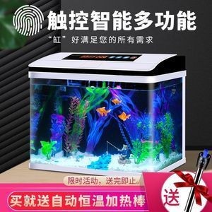 魚缸ins：魚缸ins風格介紹