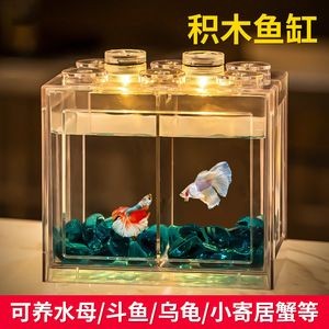 魚缸ins：魚缸ins風格介紹