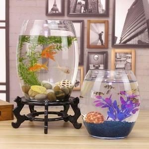 魚缸ins：魚缸ins風(fēng)格介紹