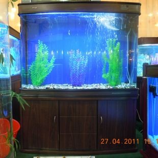 喜灝魚缸怎么樣：喜灝魚缸怎么樣？