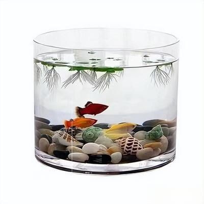 廣西南寧市魚缸批發市場在南寧市魚缸批發市場在哪里：南寧魚缸批發市場