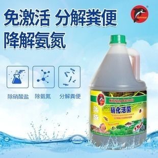 海豚標志的魚缸：海豚標志的魚缸在現(xiàn)代室內設計中的應用及其美學價值