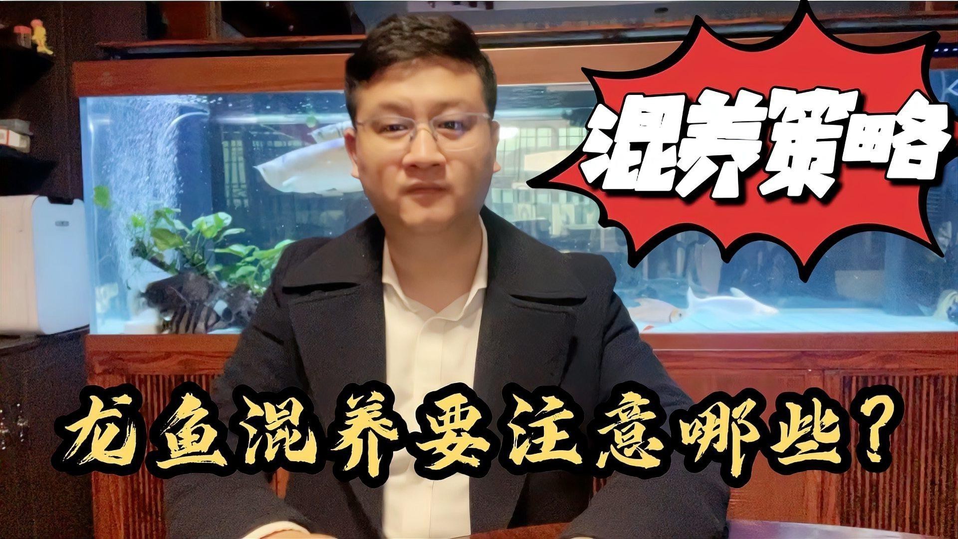 金龍魚和錦鯉能混養嗎