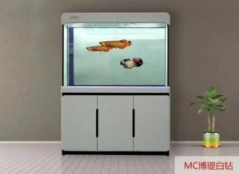 魚缸mc:長銳智能魚缸mc粉絲互動(dòng)方式長銳智能魚缸價(jià)格查詢 魚缸百科 第5張 魚缸mc:長銳智能魚缸mc粉絲互動(dòng)方式長銳智能魚缸價(jià)格查詢 魚缸mc:長銳智能魚缸mc粉絲互動(dòng)方式長銳智能魚缸價(jià)格查詢 魚缸百科 第5張