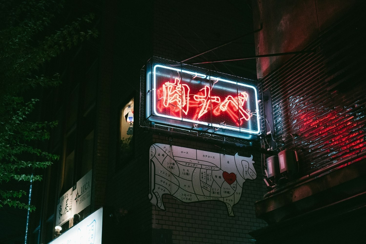 齊齊哈爾市小黑龍魚館電話
