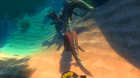 龍魚老張大嘴的原因（龍魚老張大嘴可能由多種因素引起）