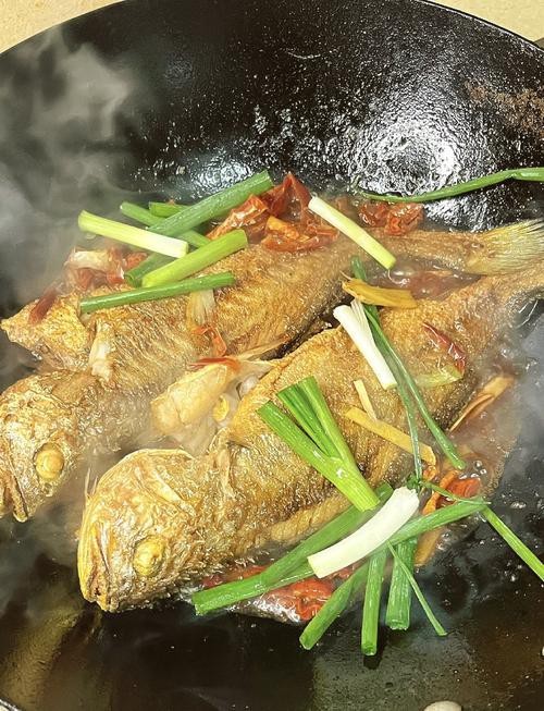 潮汕金龍魚是什么魚圖片大全