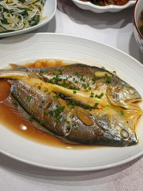 潮汕金龍魚是什么魚圖片大全