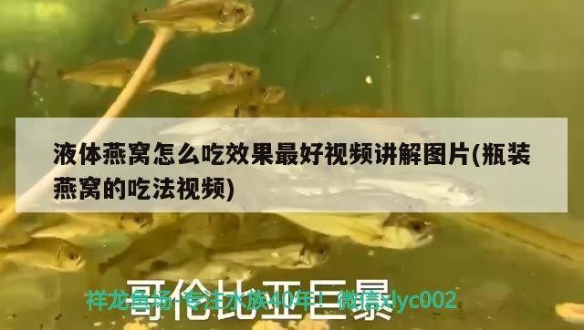 廣州煒煌眼鏡店