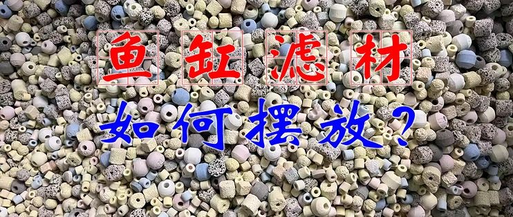 森森魚(yú)缸過(guò)濾材料布置：森森魚(yú)缸的過(guò)濾材料的選擇和布置