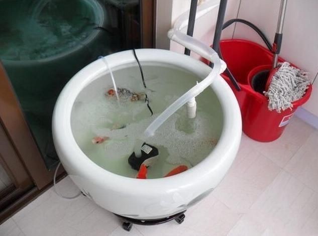 魚缸吸糞器怎么做法（魚缸吸糞器怎么做） 魚缸吸糞器怎么做法（魚缸吸糞器怎么做） 魚缸百科 第3張
