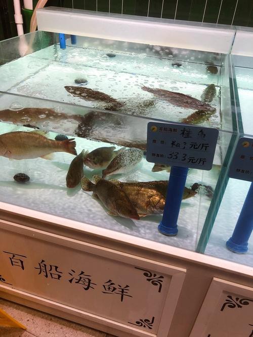 濟南龍魚批發價格表圖片